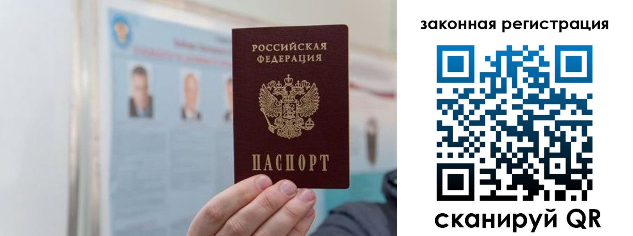 прописка законно в Кировске